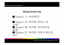 [마케팅] 바비펫 기업조사-2