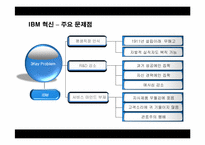 IBM 혁신사례 레포트-20