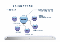 [국제경영] 한경희생활과학의 일본 진출 전략-14