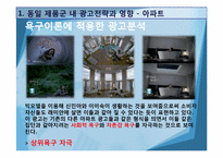 [소비자행동] MASLOW 욕구이론에 따른 광고전략 -동일 제품군 내 광고전략-13