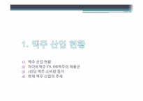[경영학] HITE VS OB 경쟁과 상생, 양자를 모두 아우르는 경영전략-4