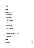 sns(Social Network Service) 해외 진출 전략 성공과 실패(싸이월드-페이스북)-2