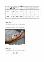 [수질실험] 수질종합실험(T-N,T-P,SS,BOD,COD,DO)-4