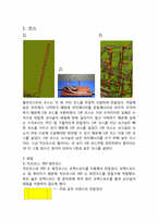 [창의공학] 롤러코스터 만들기-2