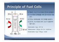 연료전지(FUEL CELL)-5
