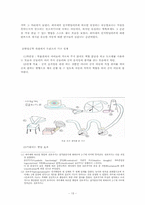 [유아아동심리] 어린이 박물관을 다녀와서, 발달공학-13