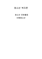 [청소년복지론] 청소년 문화활동, 비행청소년-1