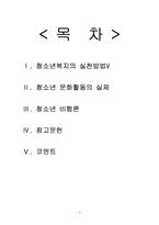 [청소년복지론] 청소년 문화활동, 비행청소년-2