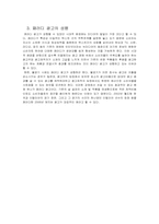 광고와 패러디 레포트-19