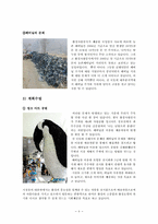 미개발된 곳을 중심으로 한 지속가능한 관광상품의 개발 -김해평야-8