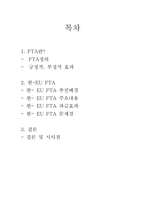 한- EU FTA 추진배경, 파급효과, 문제점-2
