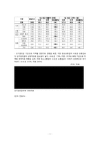 [산업복지론] SSM에 대하여-8