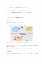 IMF이후 소득불균형 통시적 고찰-12