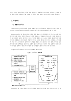 정책집행연구의 이론적 틀에 대한 비판적 고찰-5