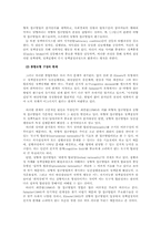 정책집행연구의 이론적 틀에 대한 비판적 고찰-6