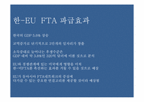 한- EU FTA 추진배경, 파급효과, 문제점-12