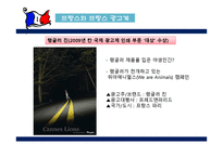[국제광고론] 프랑스광고-7