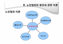 노인범죄의 원인, 실태 문제점-7