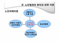 노인범죄의 원인, 실태 문제점-10