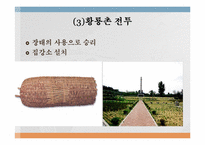 동학농민전쟁 레포트-17