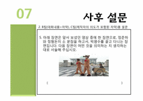 연예오락프로그램의 자의적 자막효과 연구-20