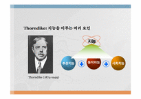웩슬러 지능검사의 이론적 근거, 구성과 구조-10
