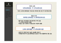 빈폴 브랜드분석 -빈폴과 폴로 비교 분석-10