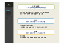 빈폴 브랜드분석 -빈폴과 폴로 비교 분석-11