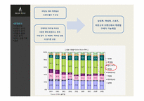 빈폴 브랜드분석 -빈폴과 폴로 비교 분석-13