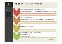 빈폴 브랜드분석 -빈폴과 폴로 비교 분석-15