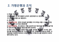 [국제기구] 국제결제은행 BIS-6