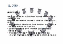 [국제기구] 국제결제은행 BIS-16
