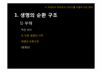 [애니메이션] 마리이야기 VS 미야자키 하야오-19