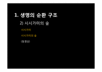 [애니메이션] 마리이야기 VS 미야자키 하야오-20