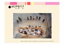 [정치학] 역사인식-4