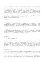 [문학] 외투 고골리 작품분석-5