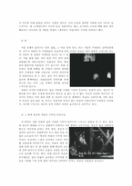 소설 `오발탄`과 영화 `오발탄`의 차이-10