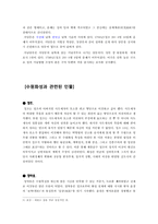 [역사문화] 수원화성에 대해서-8