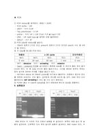 [분자생물학실험] 이중 돌연변이 검증-3