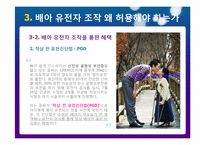 배아 조직에서의 유전자 조작 왜 허용해야 하는가-9