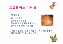 [기능성식품학] 프로폴리스, 헛개나무-6