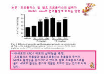 [기능성식품학] 프로폴리스, 헛개나무-20