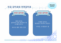 인공감미료 레포트-4