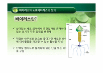 [식품미생물학] 노로바이러스(Norovirus)-7