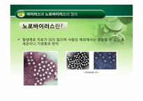 [식품미생물학] 노로바이러스(Norovirus)-9
