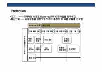 패션 브랜드의 홈페이지 Renewal &On-Line Marketing Strategy 년간 계획-13
