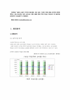 [마케팅전략] 생탁의 마케팅믹스 전략-5