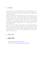 [소비자행동론] 소비자구매의사결정과정에 따른 4P분석-미샤 & 카페 파우더룸-20