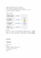 [국제경영] 글로벌 기업의 해외진출 성공전략-HJC 홍진크라운-4