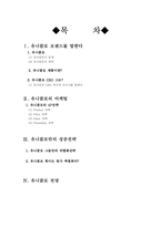 [국제마케팅] 유니클로의 마케팅 전략-1